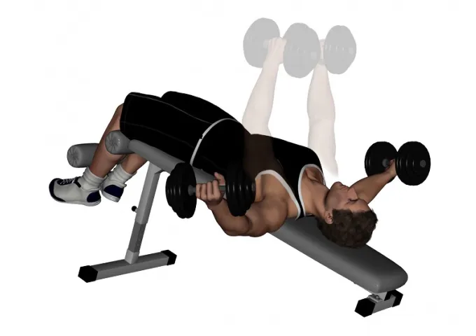Ép tạ đơn với ghế dốc xuống